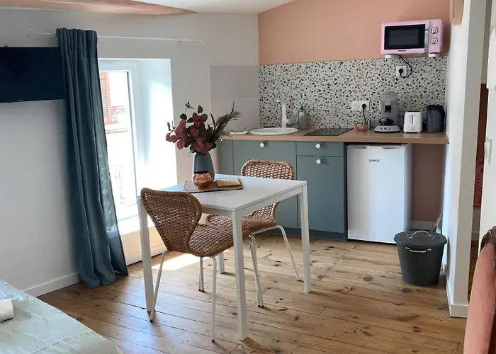 Apartament Le Carnot - Valence *
